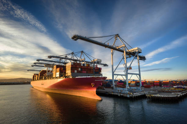 international ocean freight