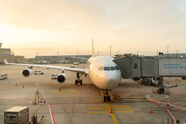 international air freight